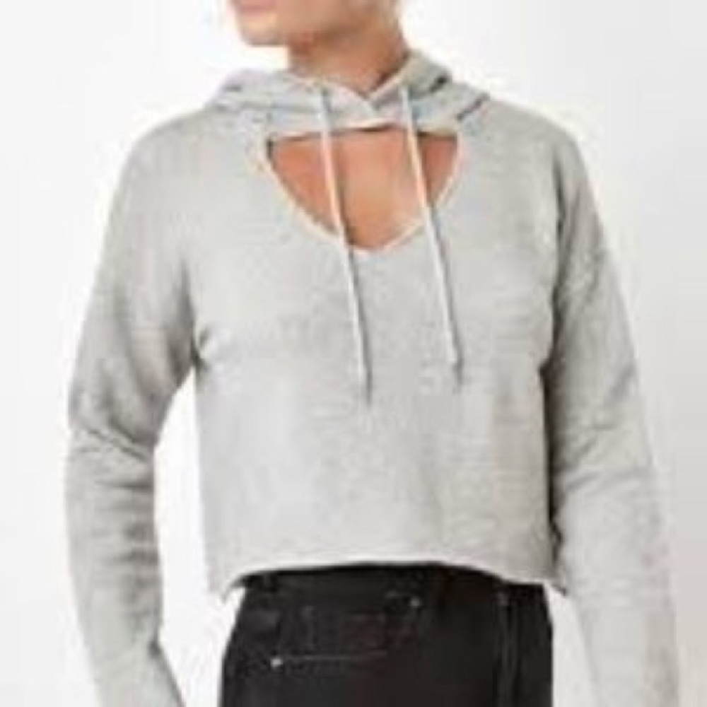 Pacsun cropped grey hoodie